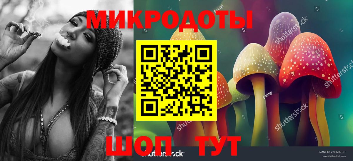 Псилоцибиновые грибы GOLDEN TEACHER  Вход с VPN  Биробиджан 